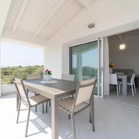 Luxi By Ng Collection *