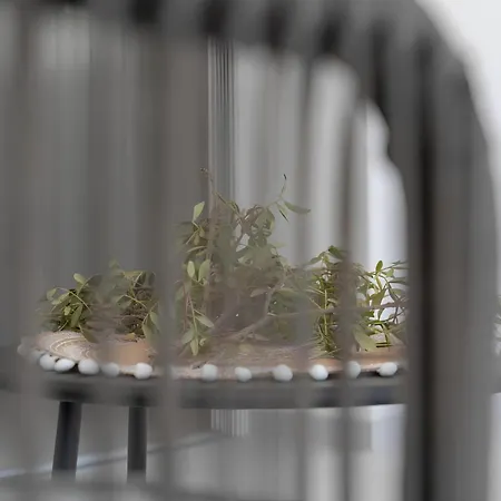 Appartement Luxi By Ng Collection